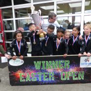 Boys U9(2) Helmondse voetbal school